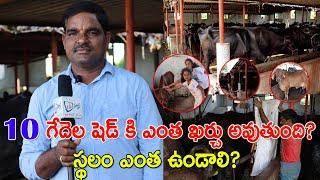 10 పశువుల షెడ్ కి ఎంత ఖర్చు అవుతుంది? స్థలం ఎంత ఉండాలి? Low cost Dairy farm construction | CBNews