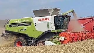 LANDBODEN GLASIN 5000 ha Saison 2024.Claas Jaguar/Lexion/Xerion,Fendt,Anaburger,Agroliner,Horsch