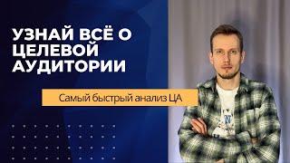 Как анализировать аудиторию | инструкция как быстро делать Анализ ЦА