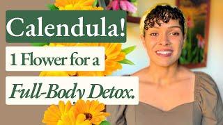 Calendula!  Health Benefits & Medicinal Uses