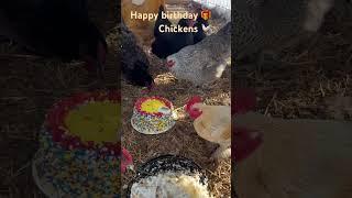 Chickens eating Birthday  Cake   #shorts #shortvideo