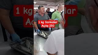 Sarıkızlar 250 #balıkmezatı #balık #mezat #fish #deniz #fishing #balıkavı #keşfet #izmir #mavişehir