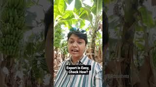 Export is Easy, Check Here? I KDSushma