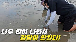 긁다가 너무 많이 나와서 기어나가야 한다는 갯벌체험?! +먹방 / 15만구독이벤트 ft.마검포레져하우스펜션