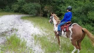 Ben riding my new horse Oakley for the first time on the Shangri La Trail in Ocala, FL.