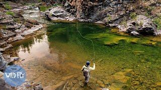 96 HOURS NORTH: Exploring Remote Glacial Streams in Canada (pt. 2)