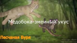 Коты воители (Смерти 2)