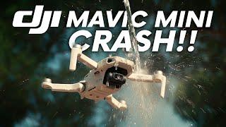 DJI MAVIC MINI CRASH !!