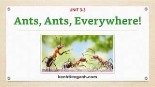 [Unit 3.3] Ants, Ants, Everywhere! - Listening English Through Dictation