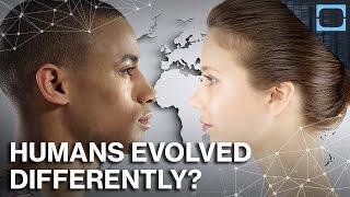 Why Europeans And Asians Evolved So Differently