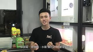 ［AOG Channel］新手推薦！ 紅腿象龜介紹