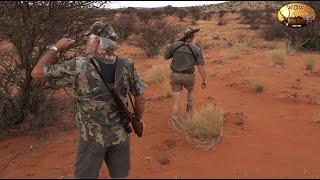 Buffalo in the Kalahari - Brutal 4 hour stalk