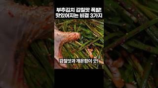 감칠맛 폭발! 부추김치 담그는법 비결 3가지