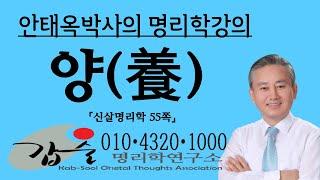 양(養) (십이운성) - (신살명리학55쪽) -갑술명리학 안태옥 박사의 명쾌한 사주강의