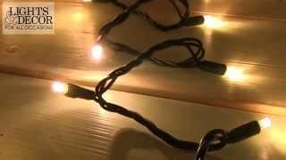 Twinkling LED String Lights