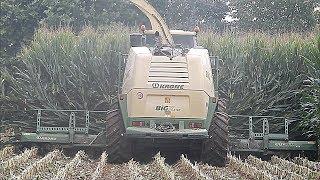 Krone Big X 1100 & 3 Visini Tetra - Copeta Angelo & Sergio - Corn silage 2018