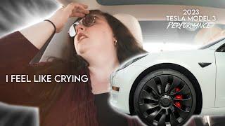 Tesla Acceleration Reactions | 2023 Tesla Model 3 Performance