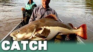 Unveiling Amazon's Secret: Redtail Catfish Encounter | Catch