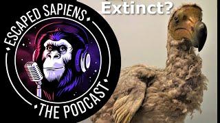 Can we bring back the dodo? | Ben Novak | Escaped Sapiens Podcast