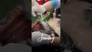 #hairsalon #amritsar #goldentemple #share #youtubeshorts #punjab #chheharta #shortsvideo