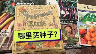 【种子】where to buy seeds｜北美种植