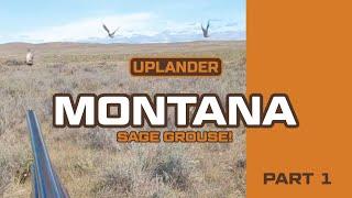 Montana Part 1! Awesome Sage Grouse Hunt