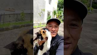 After 2 years, I finally met again with the stray cat I fed when the pandemic breaks. #cats #cute