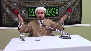 Sheikh Hamam Nasreddine - Does the intellect play role in preserving Muslim identity?