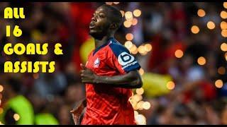 Nicolas Pepe - All 16 Goals & Assists 2018/2019