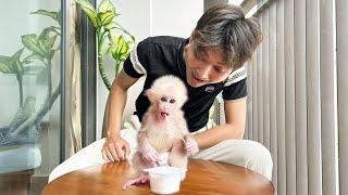 Monkey Baby Molly gets excited when Dad rewards her with yogurt!