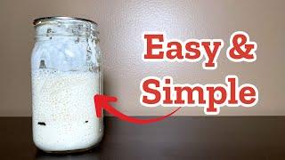 How to Make Sourdough Starter from Scratch