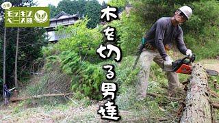 【伐採】チェーンソーで木を切るボランティア活動 Logging Chainsaw activity