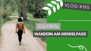 Mit der Mendelbahn hoch zum Mendelpass + Wanderung zur Halbweghütte | VLOG #195 | SÜDTIROL 