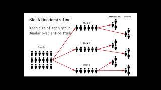 block randomization