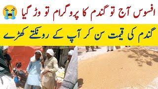 Ghala mundi gandam rate today | Usman agriculture