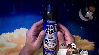 What Types? Hot Shot Flying Insect Killer