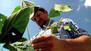 Farmer Research