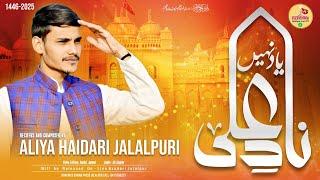 Naad E Ali Yaad Nahi | Kya Musalmano Ko Yeh Qaul E Nabi Yaad Nahi | Maulana Aliya Haidery Jalalpuri