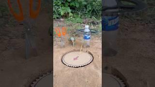 Innovative Unique Wonderful Parrot Trap #shorts