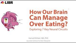 How Our Brain Can Control Overeating and Obesity: Exploring 7 Key Neural Circuits