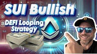 Bull Run Looping Strategy on SUILend  |Yield Farming $SUI on Cetus Protocol | Earn 200% APR $DEEP