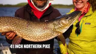 Monsters On A Fly - Saskatchewan Pike Fishing