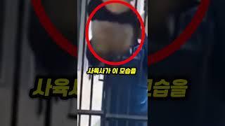 푸바오가 러바오를 닮은 이유