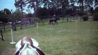 Gibson Land~Introductory Dressage Test A -USDF-