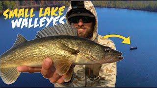 How to Fish SMALL LAKES for Walleyes LIKE A PRO!