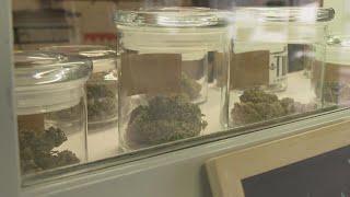 Court affirms Maine medical marijuana dispensary owners can be from out-of-state