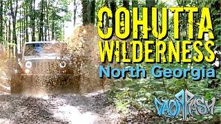 Exploring the Cohutta Wilderness - North Georgia Mountains - Georgia Traverse