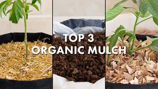 Top 3 Organic Mulch Options for Your Vegetable Garden