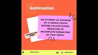 #oralpath #dentalstudy Gemination || Developmental disturbances || Dentucation