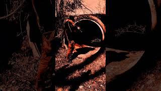 underground_pipe_echo saxophone
